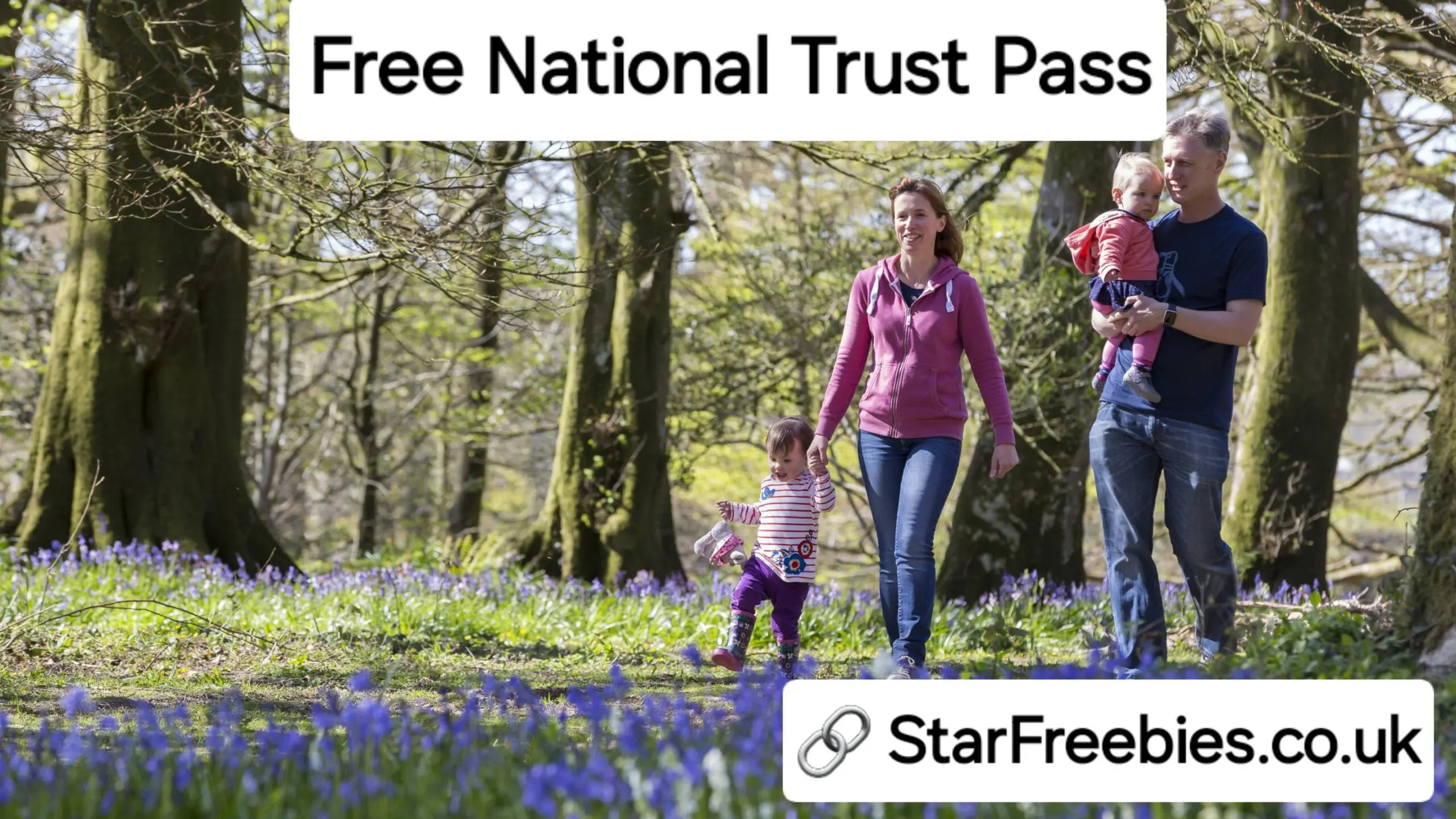 Free National Trust Pass