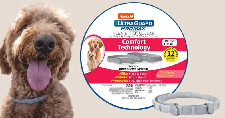 Get a Free Hartz 2-Pack UltraGuard PROMAX Flea & Tick Dog Collars!