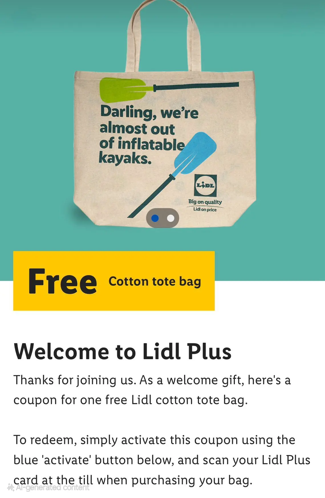 Free Lidl Tote bag