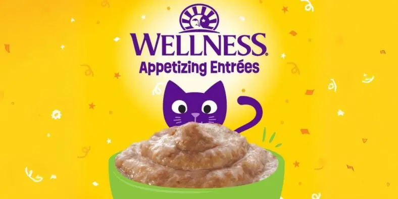 FREE Wellness Appetizing Entrées Cat Food Sample with Send Me a Sample